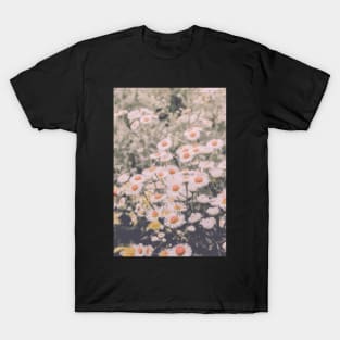 Wild Summer Daisies T-Shirt